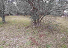 Marčana, Istarska županija, Hrvatska, ,Building land,For Sale,1181