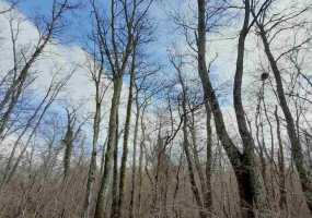 Barban, Istria, Croatia, ,Agricultural land,For Sale,1183