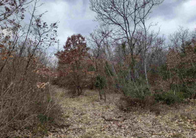 Marčana, Istarska županija, Hrvatska, ,Poljoprivredno zemljište,Prodaja,1188