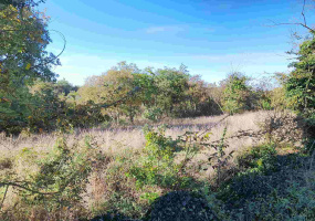 Višnjan, Istarska županija, Hrvatska, ,Građevinsko zemljište,Prodaja,1288