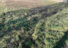 Barban, Istarska županija, Hrvatska, ,Građevinsko zemljište,Prodaja,1397 Barban, Istarska županija, Hrvatska, ,Građevinsko zemljište,Prodaja,1397