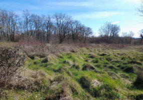 Marčana, Istarska županija, Hrvatska, ,Poljoprivredno zemljište,Prodaja,1401