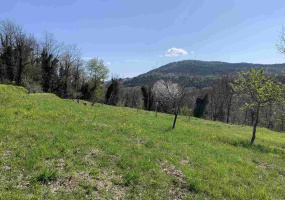 Motovun, Istarska županija, Hrvatska, ,Građevinsko zemljište,Prodaja,1424