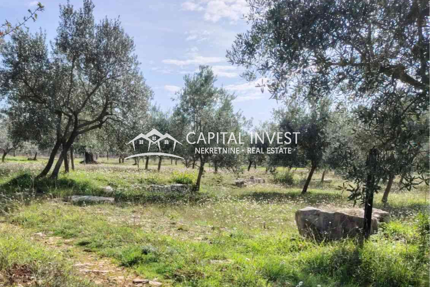 vodnjan, Istarska županija, Hrvatska, ,Poljoprivredno zemljište,Prodaja,1451