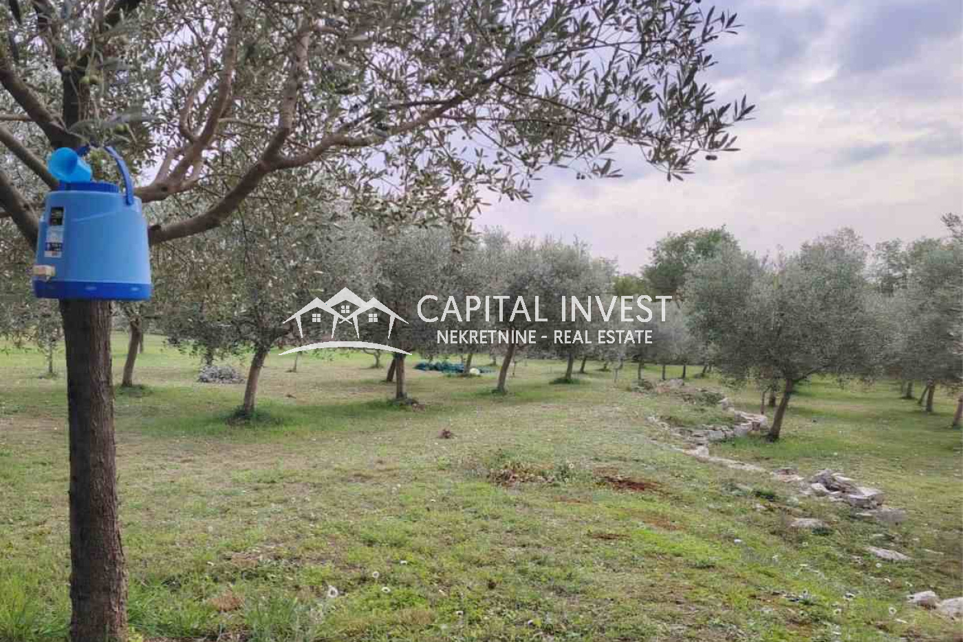 vodnjan, Istarska županija, Hrvatska, ,Poljoprivredno zemljište,Prodaja,1451