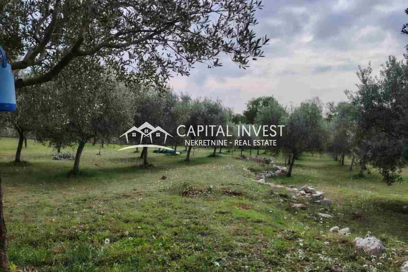 vodnjan, Istarska županija, Hrvatska, ,Poljoprivredno zemljište,Prodaja,1451