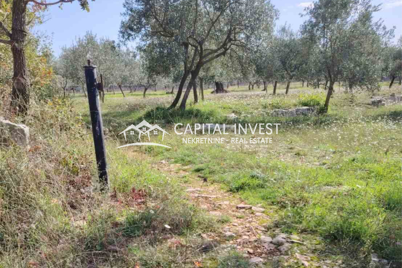 vodnjan, Istarska županija, Hrvatska, ,Poljoprivredno zemljište,Prodaja,1451