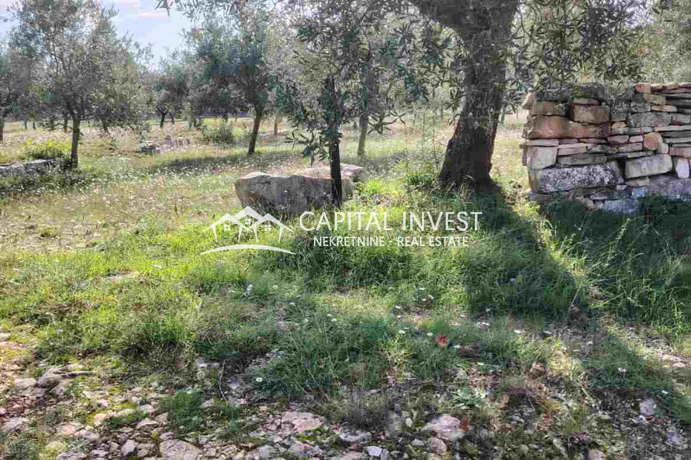 vodnjan, Istarska županija, Hrvatska, ,Poljoprivredno zemljište,Prodaja,1451