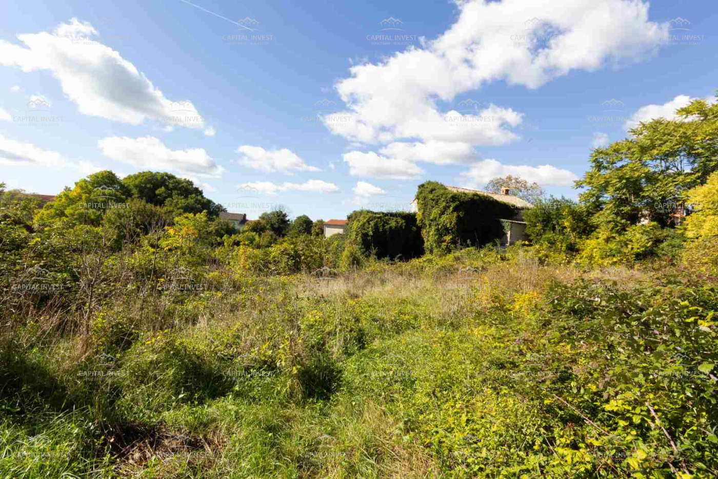 Savičenta, Istarska županija, Hrvatska, 5 Broj soba Broj soba,1 KupatiloKupaonica,Kuća,Prodaja,1488