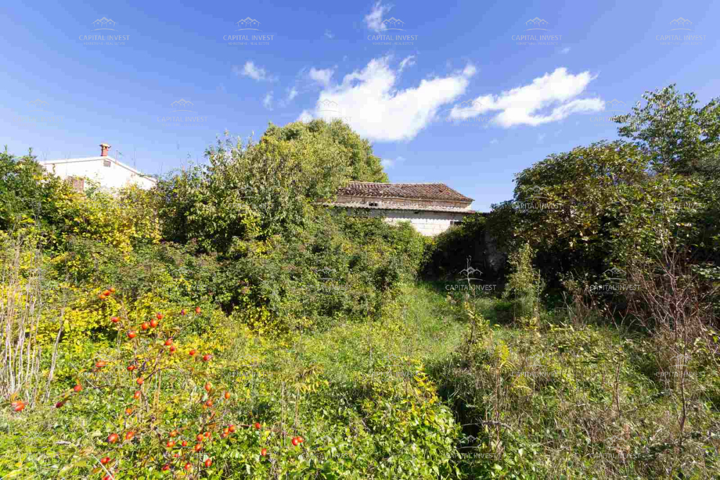 Savičenta, Istarska županija, Hrvatska, 5 Broj soba Broj soba,1 KupatiloKupaonica,Kuća,Prodaja,1488