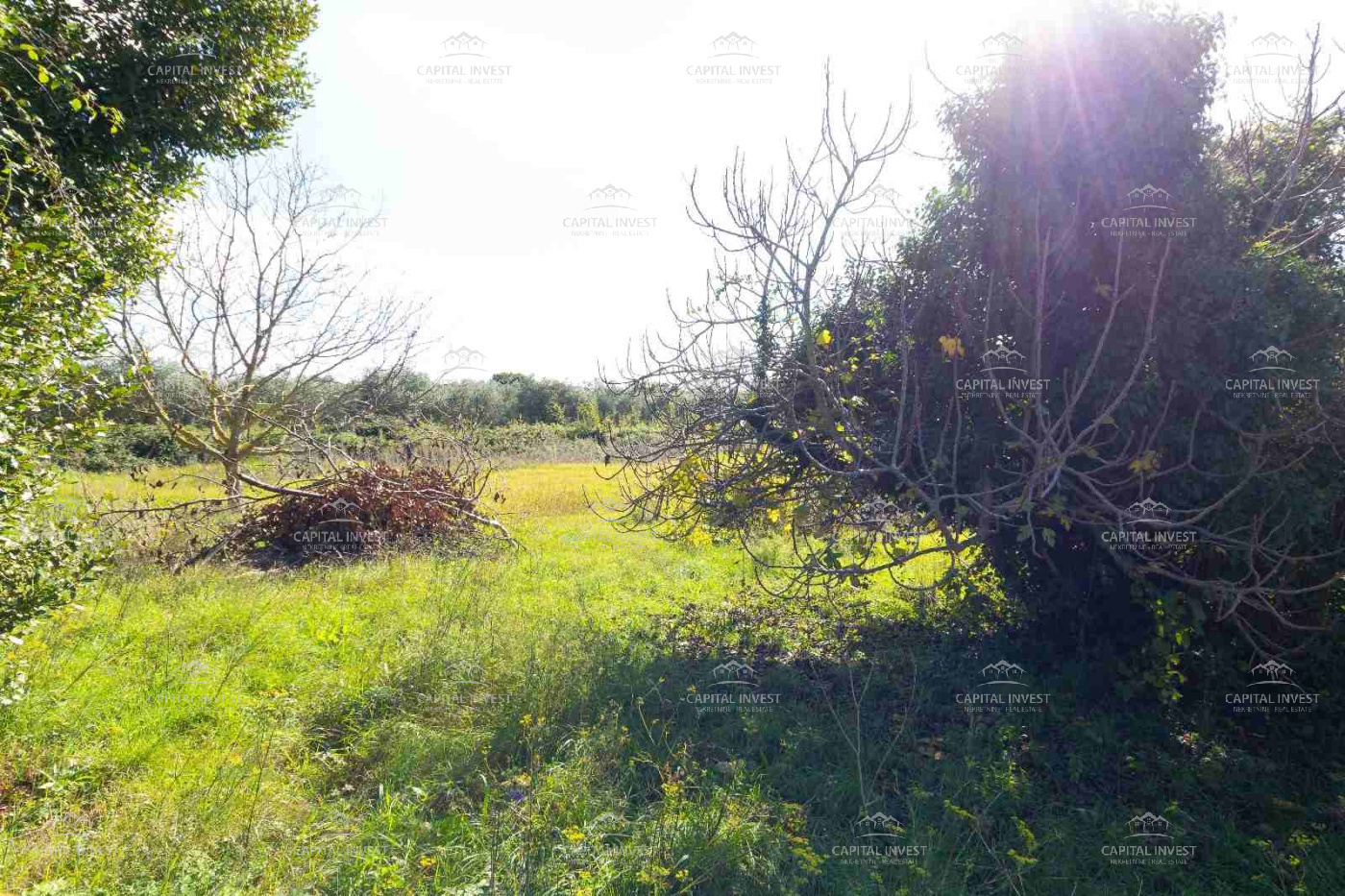 Pula, Istarska županija, Hrvatska, ,Poljoprivredno zemljište,Prodaja,1504