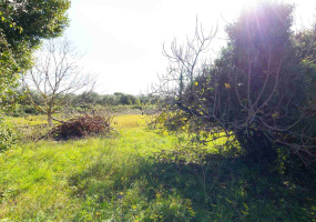 Pula, Istarska županija, Hrvatska, ,Poljoprivredno zemljište,Prodaja,1504 Pula, Istarska županija, Hrvatska, ,Poljoprivredno zemljište,Prodaja,1504