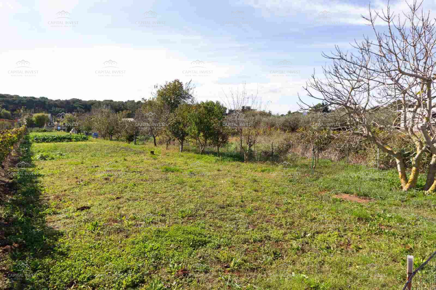 Pula, Istarska županija, Hrvatska, ,Poljoprivredno zemljište,Prodaja,1504