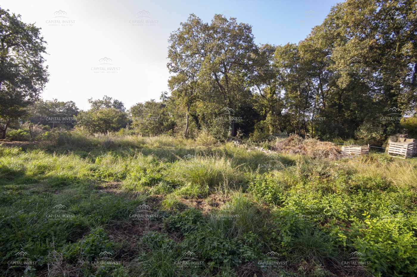 Ližnjan, Istarska županija, Hrvatska, ,Građevinsko zemljište,Prodaja,1507