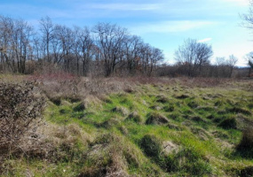 Marčana, Istarska županija, Hrvatska, ,Poljoprivredno zemljište,Prodaja,1513