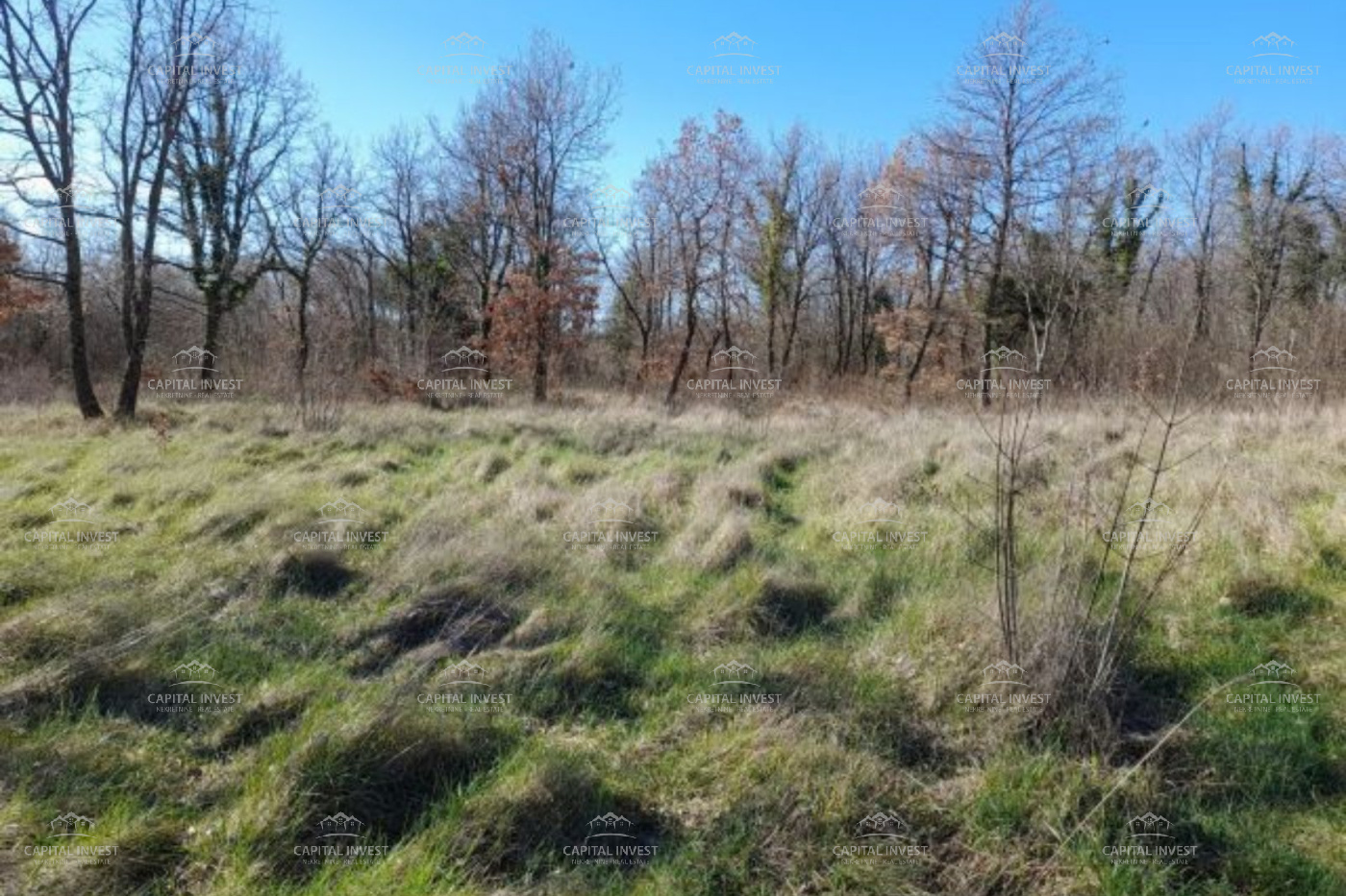 Marčana, Istarska županija, Hrvatska, ,Poljoprivredno zemljište,Prodaja,1513