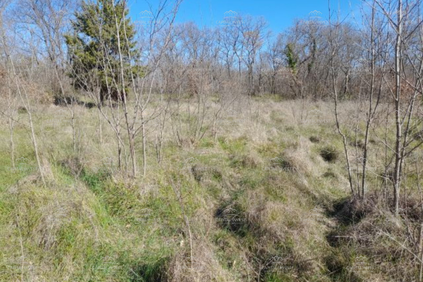 Marčana, Istarska županija, Hrvatska, ,Poljoprivredno zemljište,Prodaja,1513