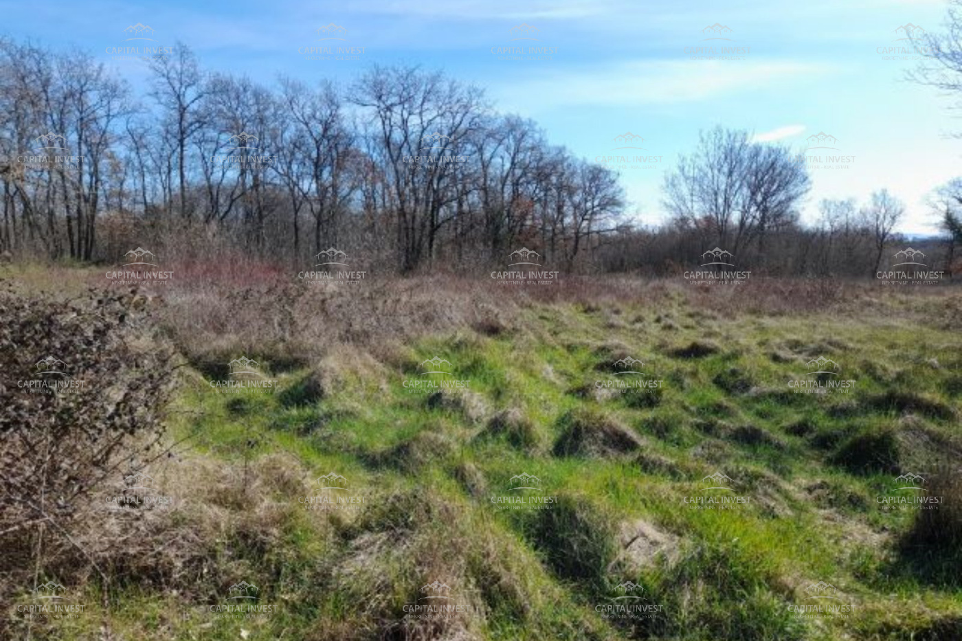 Marčana, Istarska županija, Hrvatska, ,Poljoprivredno zemljište,Prodaja,1513