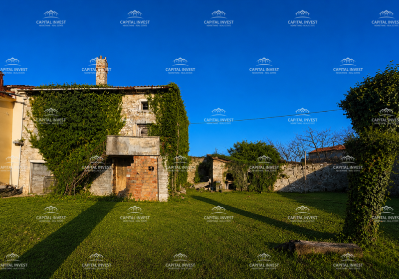 cukriciicici__FOtT8igU-1535x1024-1.png