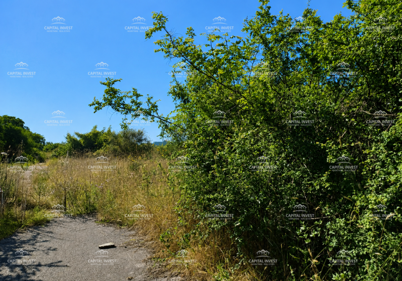 parcela__vTJAWD8t-1448x1086-1.png